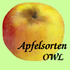 Logo der Homepage