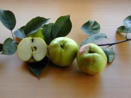Bürener Zitronenapfel