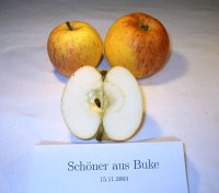 Sch&ouml;ner aus Buke