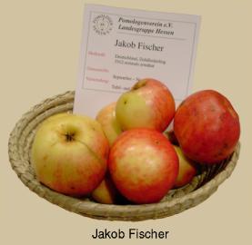 JakobFischer