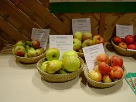 Boikenapfel und andere