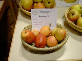 Prinzenapfel
