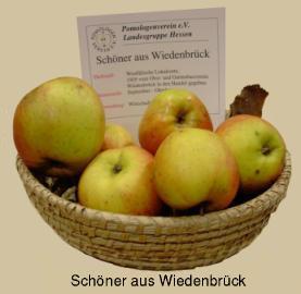 Wiedenbrcker